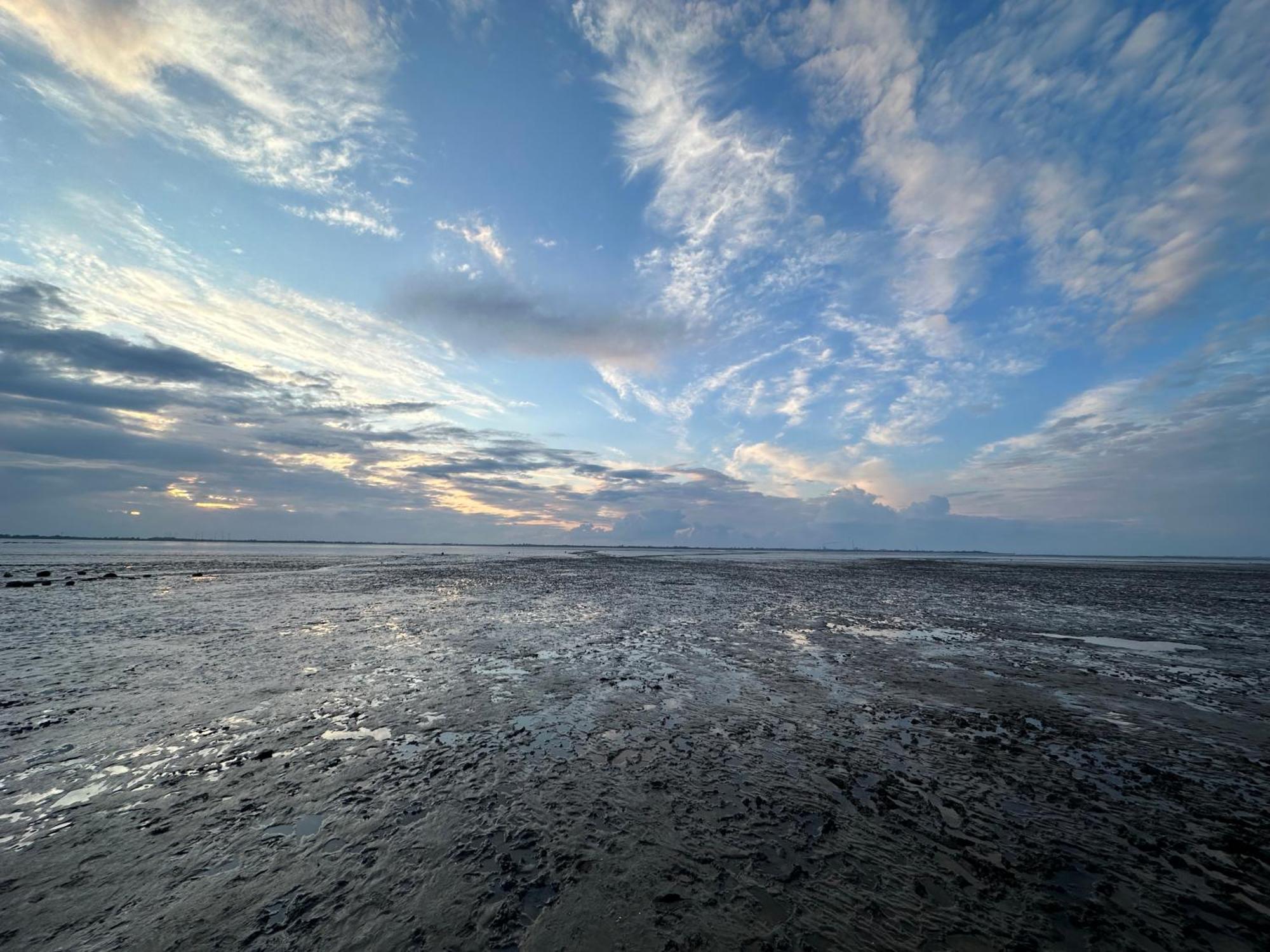 Fewo Frieda'S Platz Am Meer Dangast Eksteriør bilde